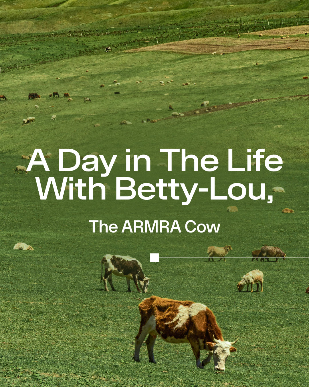 1_ARMRA Decoded – Calves First